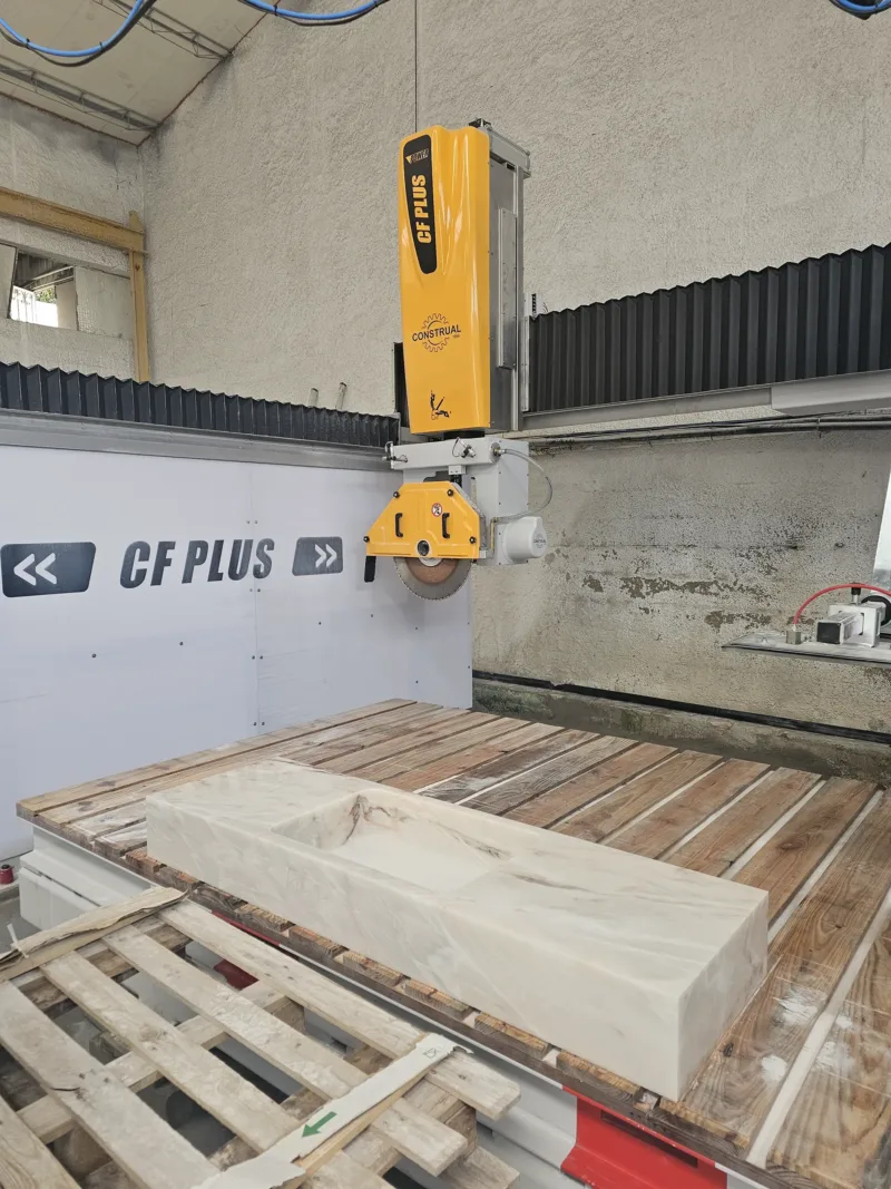 CF Plus - Image 3
